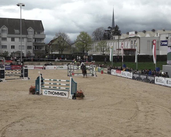 Reitturnier Amriswil 2024