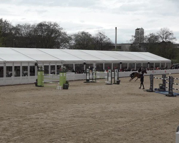 Reitturnier Amriswil 2024