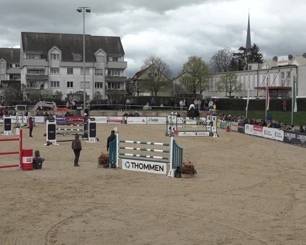 Reitturnier Amriswil 2024