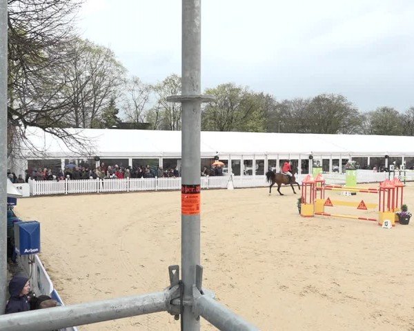 Reitturnier Amriswil 2024