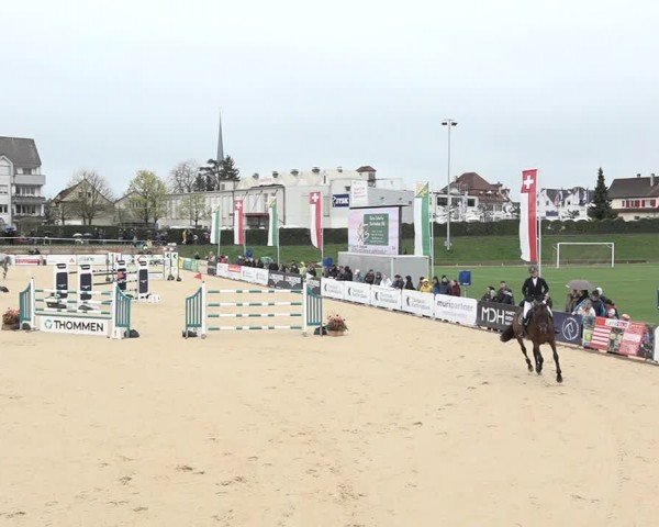 Reitturnier Amriswil 2024