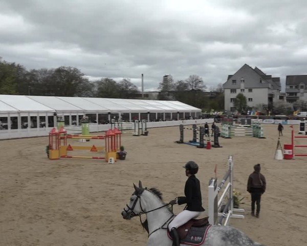 Reitturnier Amriswil 2024