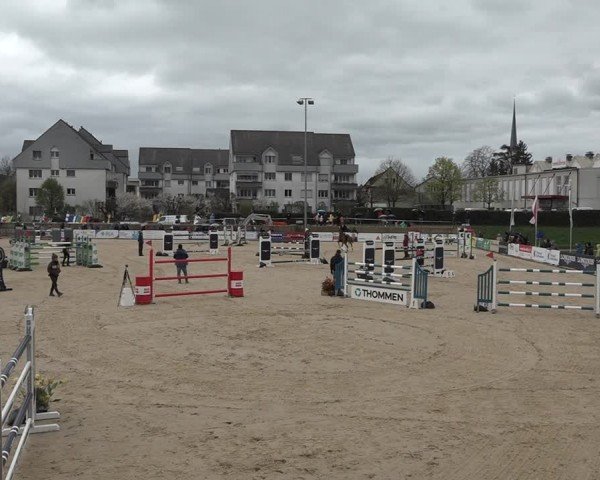 Reitturnier Amriswil 2024