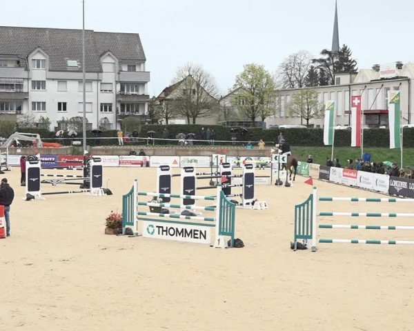 Reitturnier Amriswil 2024