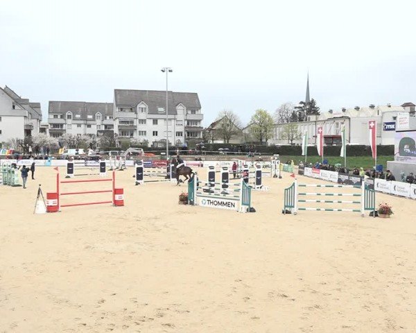 Reitturnier Amriswil 2024