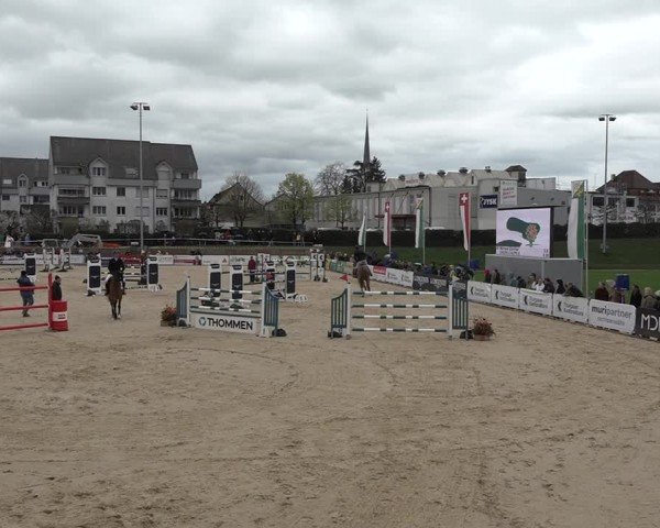Reitturnier Amriswil 2024