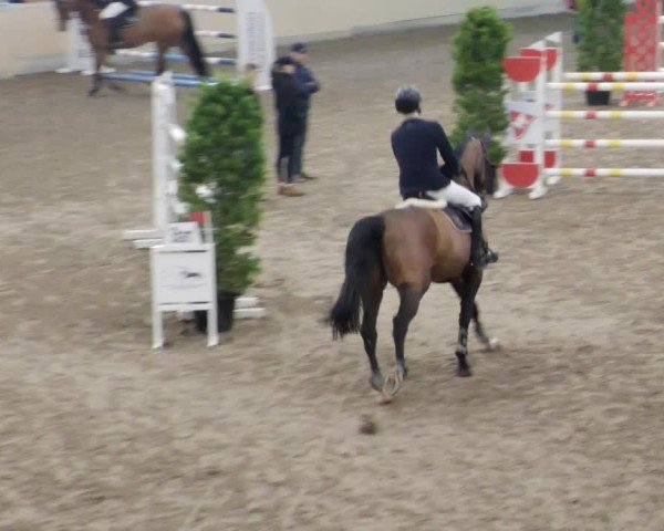 Reitturnier Waghäusel-Wiesental 2024