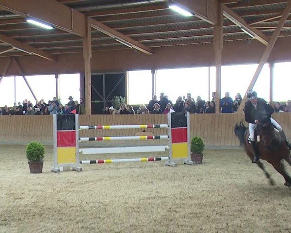 Reitturnier Grafenrheinfeld/Ufr. 2024