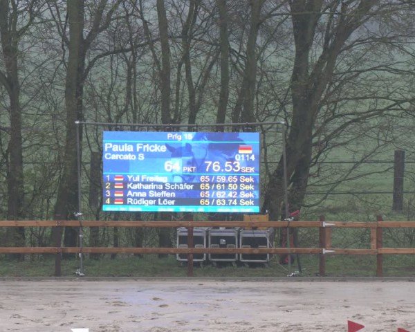 Reitturnier Scharnebeck 2024