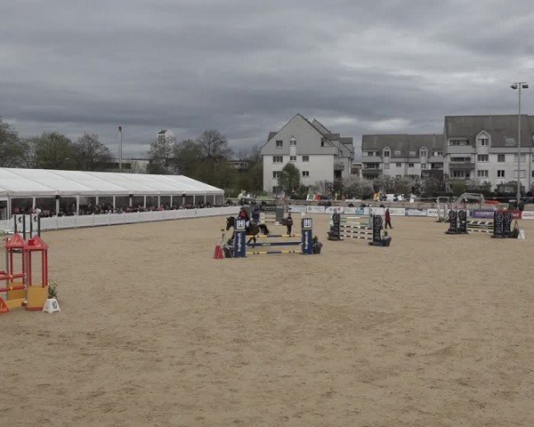Reitturnier Amriswil 2024