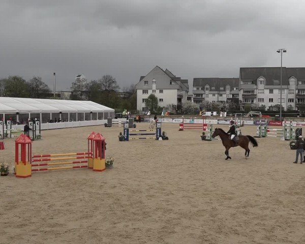 Reitturnier Amriswil 2024