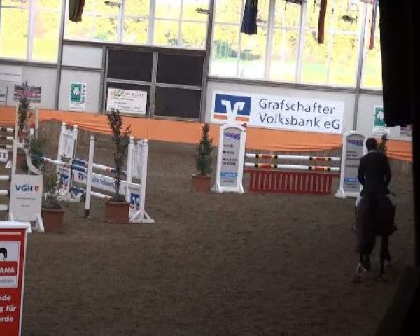 Emlichheim Hallen-Springturnier vom 21.-23.10.2011