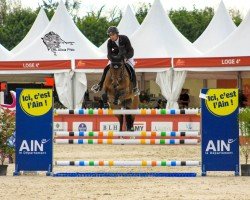 jumper Joint Venture Tn (KWPN (Royal Dutch Sporthorse), 2014, from Kannan)