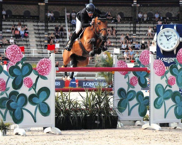 jumper Valentino Tuiliere (Selle Français, 2009, from Diamant de Semilly)