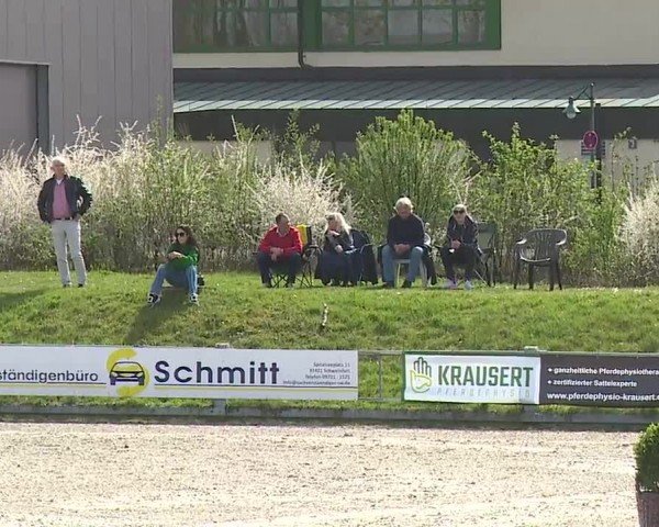 Reitturnier Grafenrheinfeld/Ufr. 2024