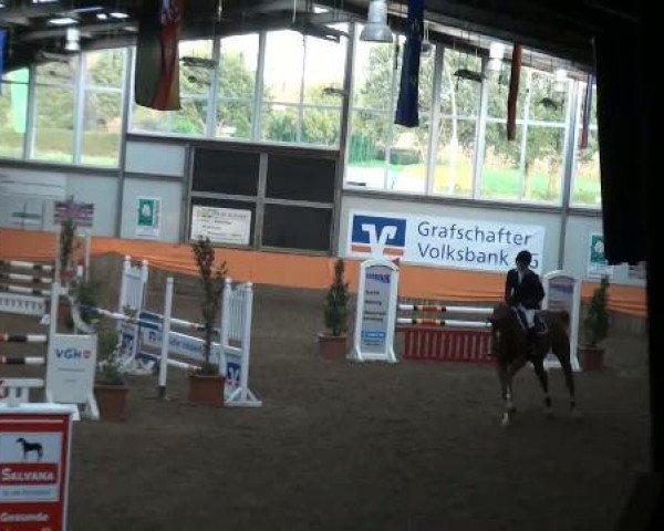 Emlichheim Hallen-Springturnier vom 21.-23.10.2011