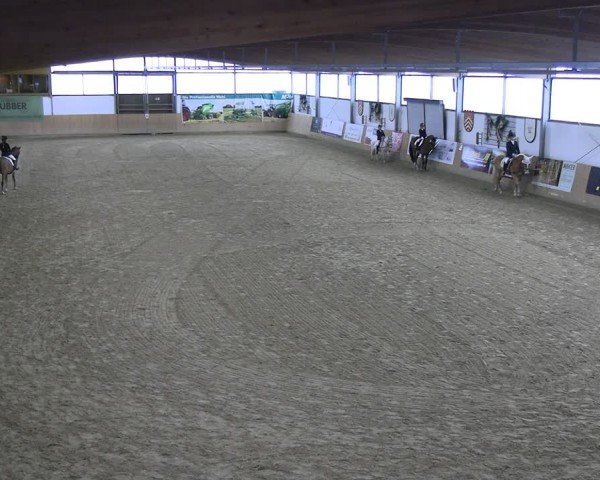 Reitturnier Borgholzhausen-Westbarthausen 2024