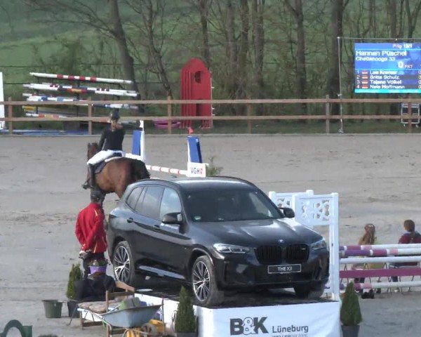 Reitturnier Scharnebeck 2024