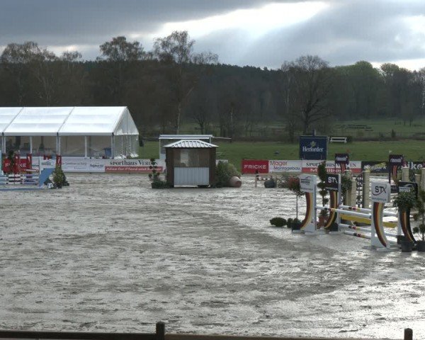 Reitturnier Westergellersen 2024