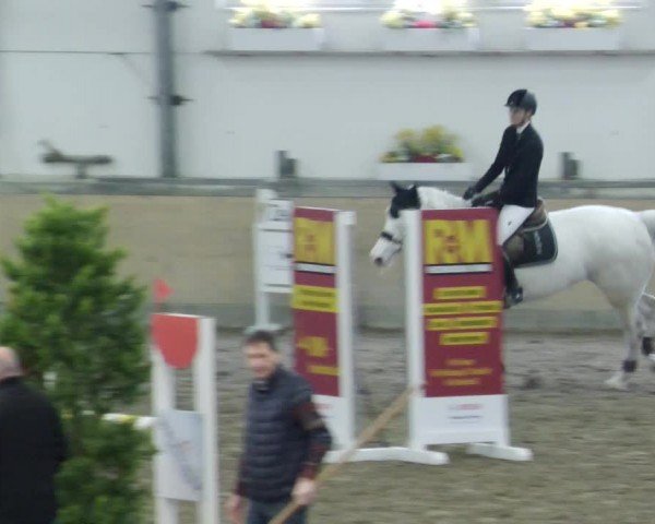 Reitturnier Waghäusel-Wiesental 2024