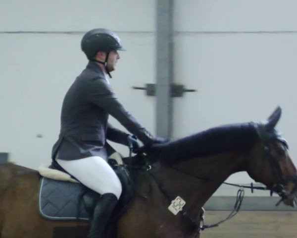 Reitturnier Waghäusel-Wiesental 2024