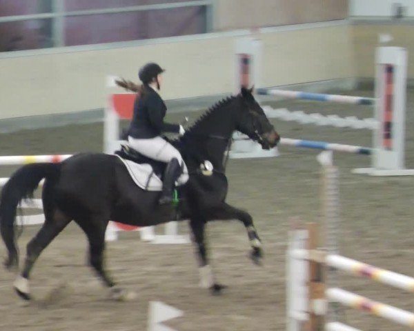 Reitturnier Waghäusel-Wiesental 2024