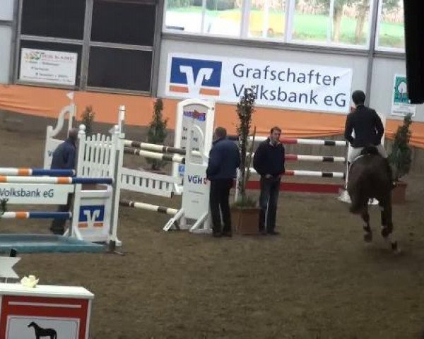 Emlichheim Hallen-Springturnier vom 21.-23.10.2011