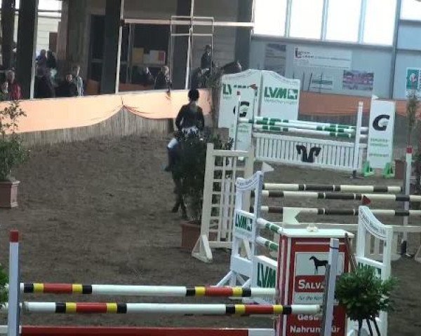 Emlichheim Hallen-Springturnier vom 21.-23.10.2011