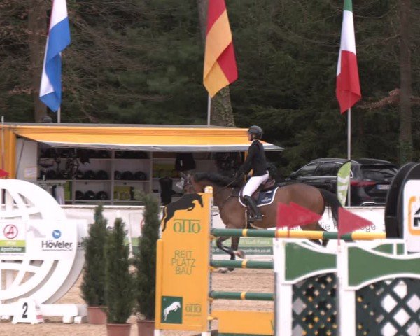 Reitturnier Ranshofen - Braunau am Inn 2024