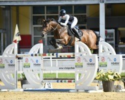 broodmare Klintanda Hab (Bavarian, 2011, from Clinton H)