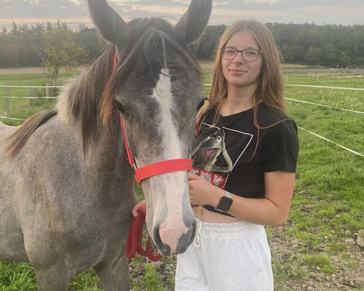 horse SW Samira (Anglo-Arabs, 2022, from MK Crystal AA)