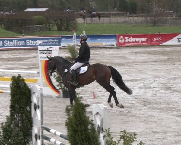Reitturnier Westergellersen 2024