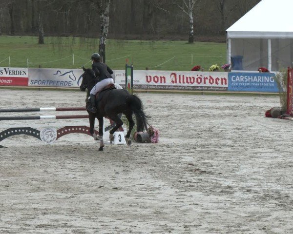 Reitturnier Westergellersen 2024