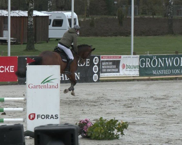 Reitturnier Westergellersen 2024