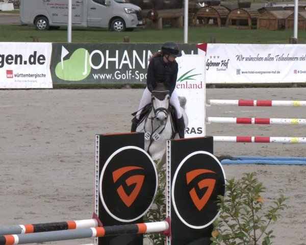Reitturnier Westergellersen 2024