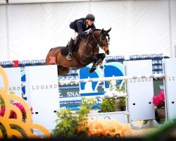 jumper Meadow Vale Cruise (Irish Sport Horse, 2011, from S Creevagh Ferro)