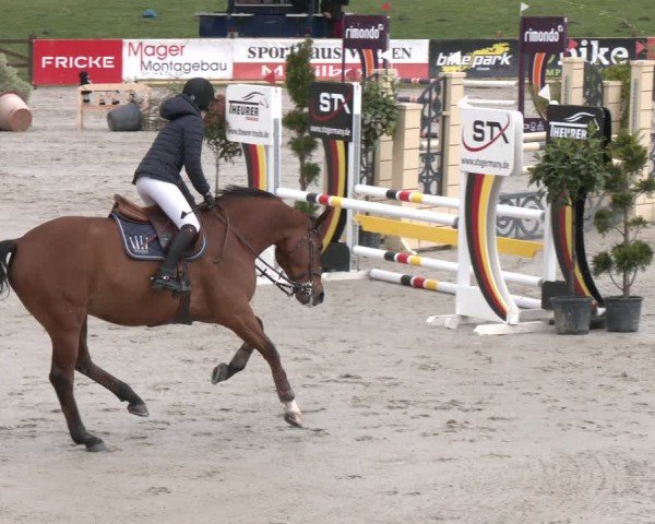 Reitturnier Westergellersen 2024