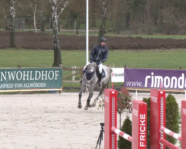 Reitturnier Westergellersen 2024
