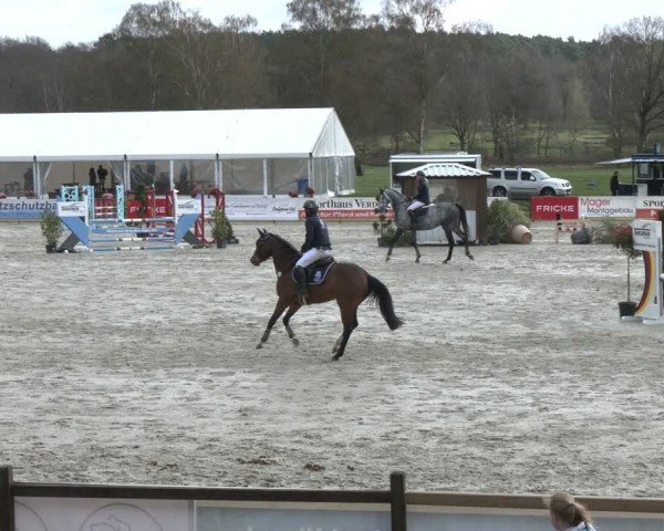 Reitturnier Westergellersen 2024