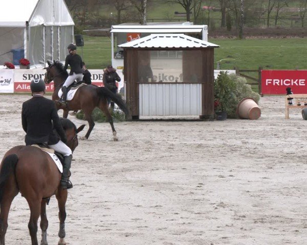 Reitturnier Westergellersen 2024