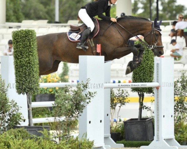 Springpferd Nayla (Holsteiner, 2012, von Nerrado)