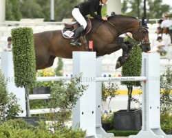 jumper Nayla (Holsteiner, 2012, from Nerrado)