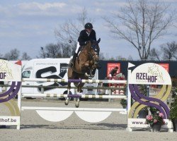 jumper Tullibards Bennys Special (Irish Sport Horse, 2016, from Bennys Legacy)