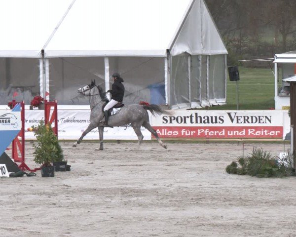 Reitturnier Westergellersen 2024