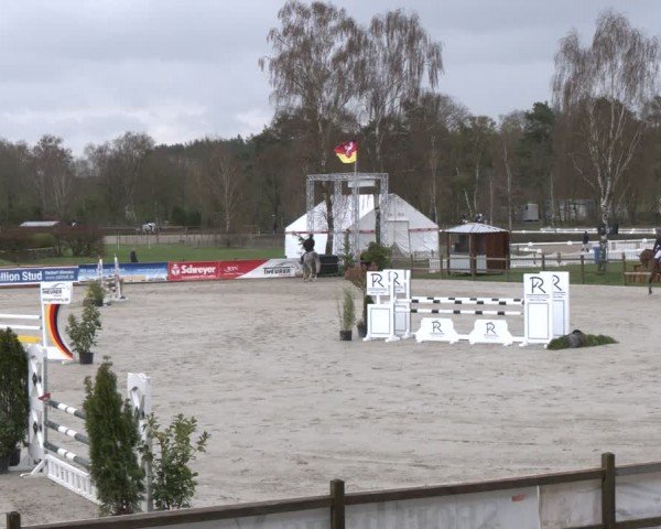 Reitturnier Westergellersen 2024