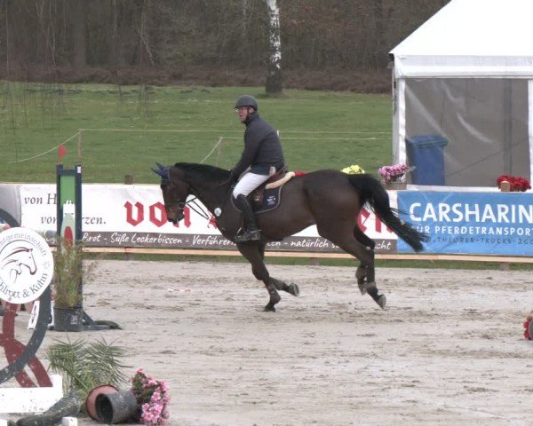 Reitturnier Westergellersen 2024