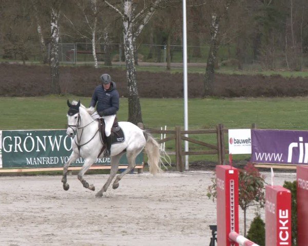 Reitturnier Westergellersen 2024
