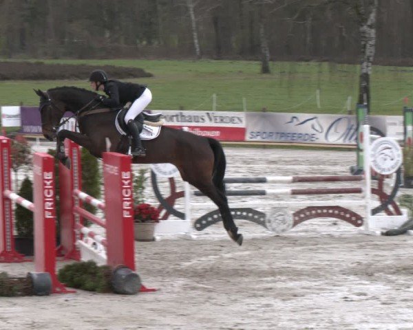 Reitturnier Westergellersen 2024