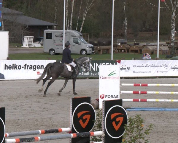 Reitturnier Westergellersen 2024