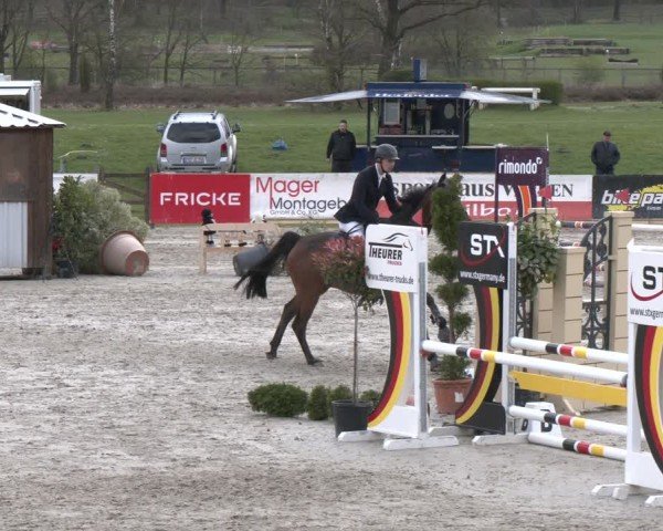 Reitturnier Westergellersen 2024